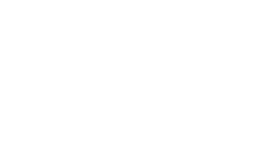 RIDEN